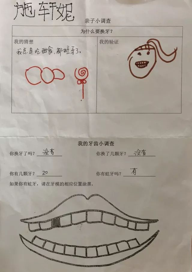 [转载]牙齿的秘密 ——一次幼儿园大班的项目化学习之