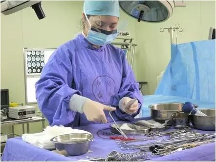 手术室无影灯怎么安装直击手术室 ｜ 无影灯下，你以为递把手术刀很简单？_https://www.jmylbn.com_新闻资讯_第12张