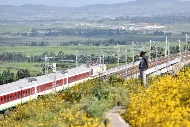 中国在非洲修建的铁路_非洲评论中国铁路_蒙内铁路 非洲网友评论