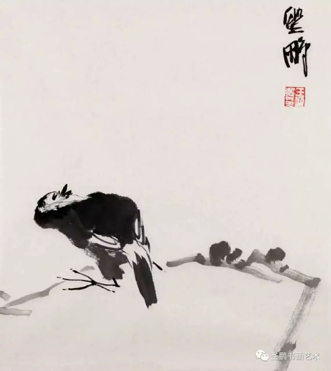 王圣鹏迎春小品网展
