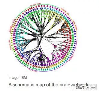 该数据包括超过16年的持续脑电图（EEG）记录大脑活动，以及数千次癫痫发作，研究人员用手术的方式将芯片植入他们的大脑。