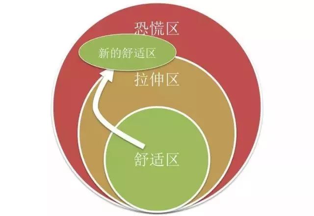 巴菲特的成功之道:在能力圈内行动,在舒适圈外学习