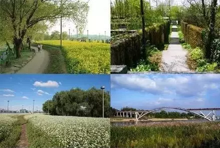  汝矣岛市民汉江公园