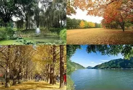 南怡岛