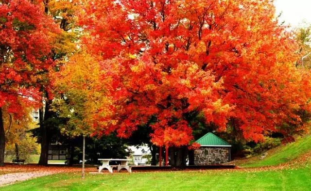 月子中心生產(chǎn)_月子中心生小孩_月子中心赴加生子