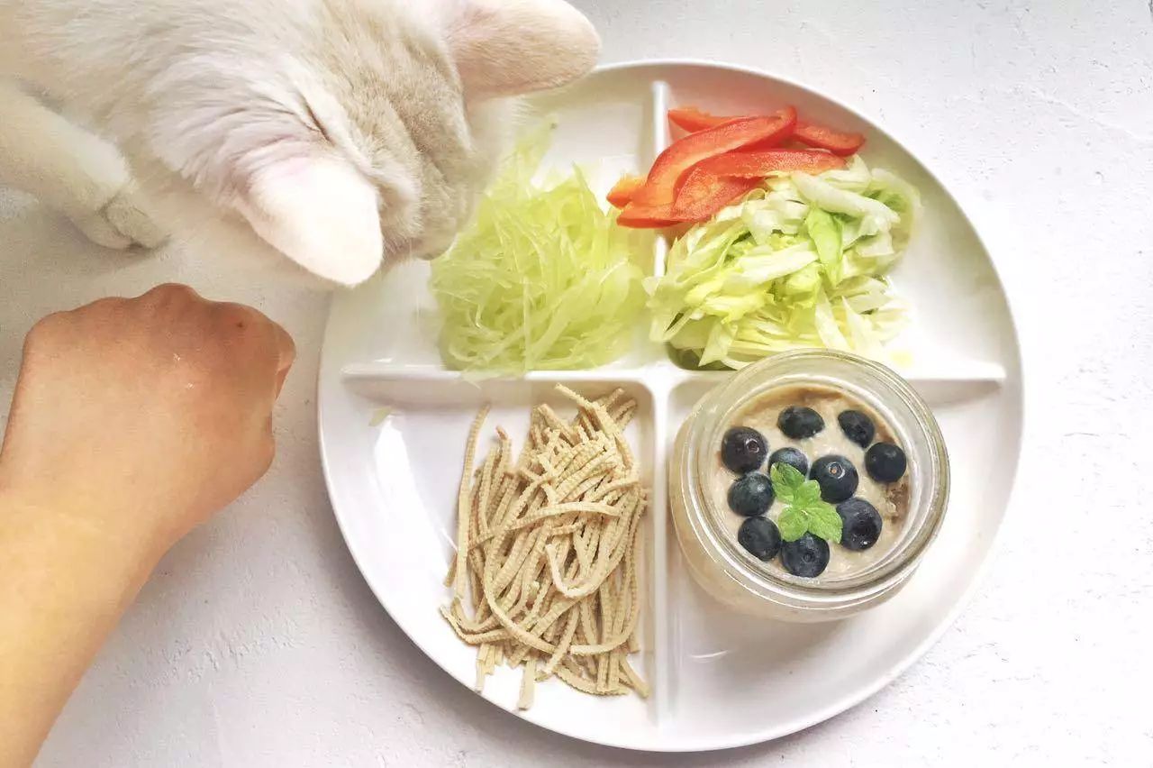 黄瓜鸡蛋减脂菜谱_黄瓜鸡蛋减肥餐怎么做_黄瓜鸡蛋一周瘦了15斤