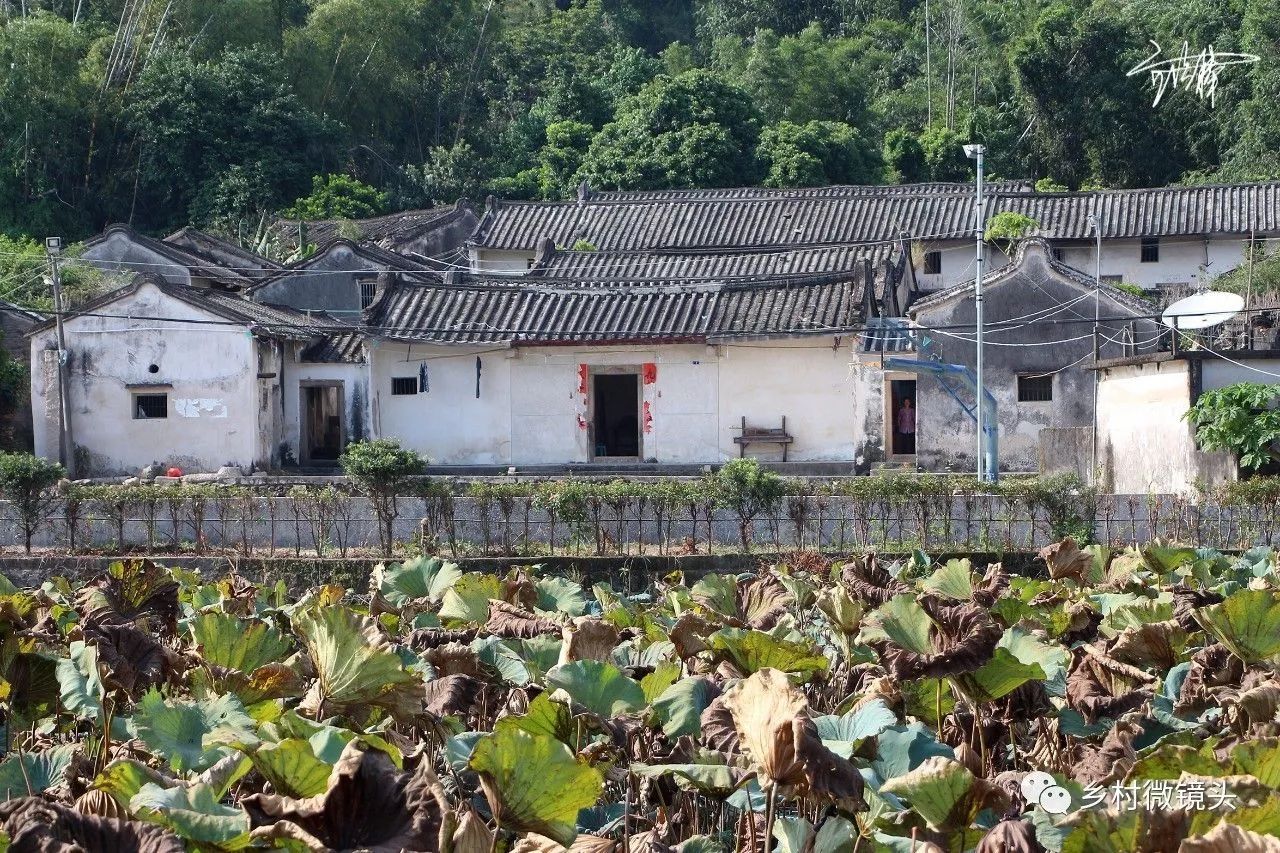 乡村印象古村落下坪村