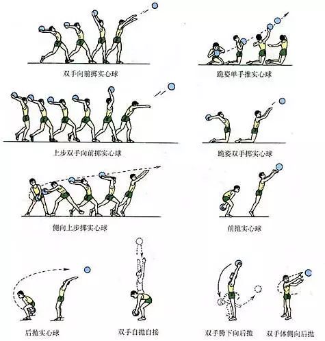 体育教学常用挂图和动作图解