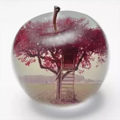 [个性头像] 平安夜 苹果里的世界 唯美微信头像图片