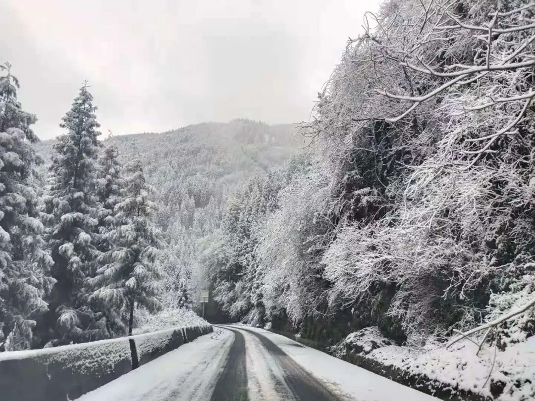 南方人的稀奇宜宾雪景赏不停