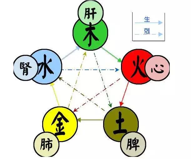 关于养生,从季节说起 中医向