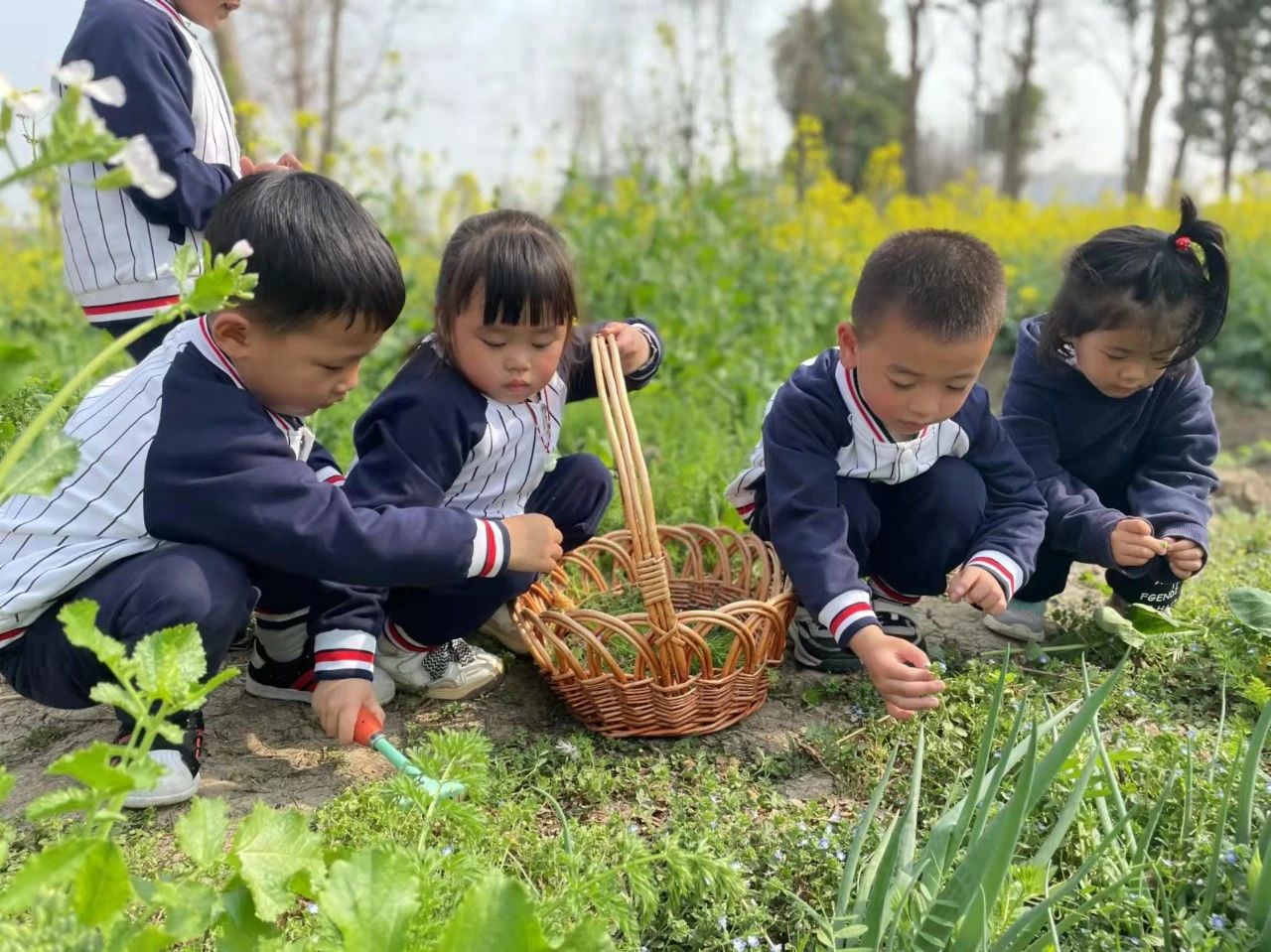 【园所活动】赴一场春天的约会——高新区实验幼儿园“寻找春天”主题活动