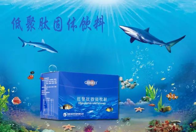 产 品 成 分  海洋鱼低聚肽粉