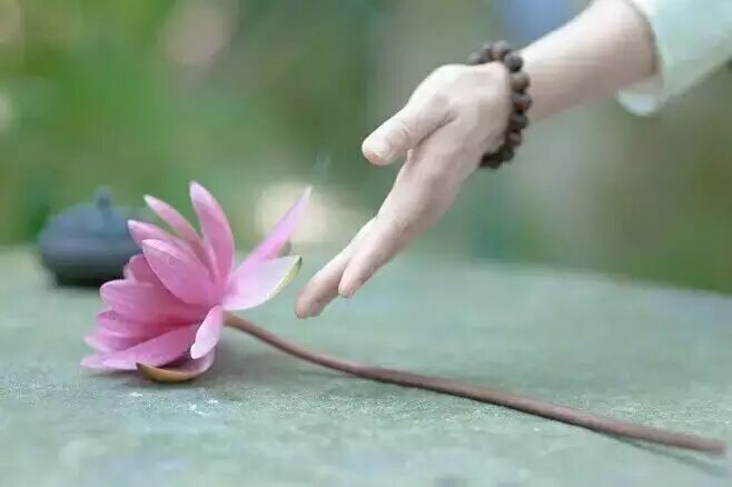 【修行日记】从丈夫出轨,净身出户、精神面临崩溃到顺利再婚怀孕的历程-怀孕期