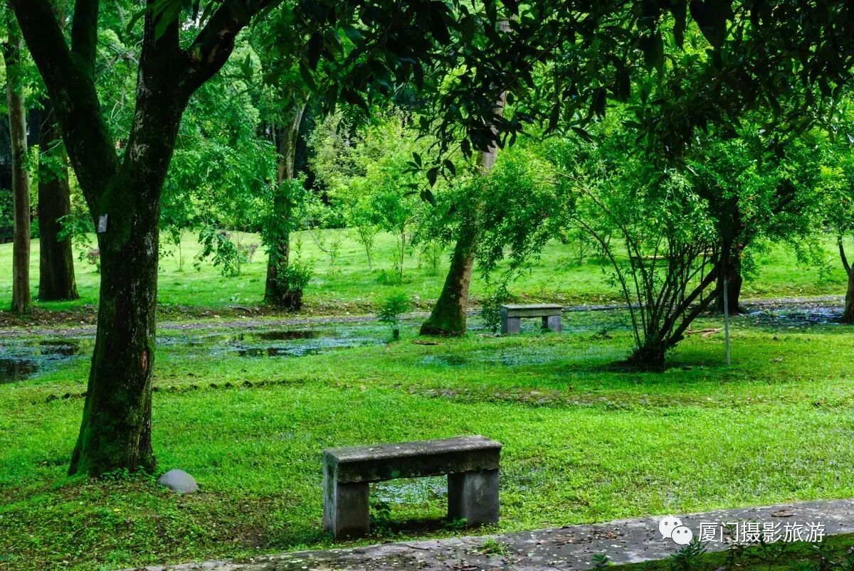 福建林学院（现福建农林大学南平校区）
