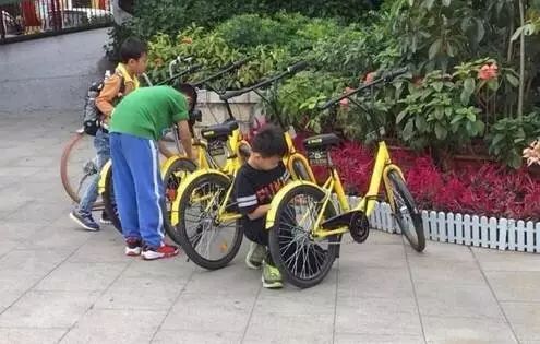 忽然想起这样一个新闻