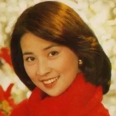 成龙妻子,影后林凤娇