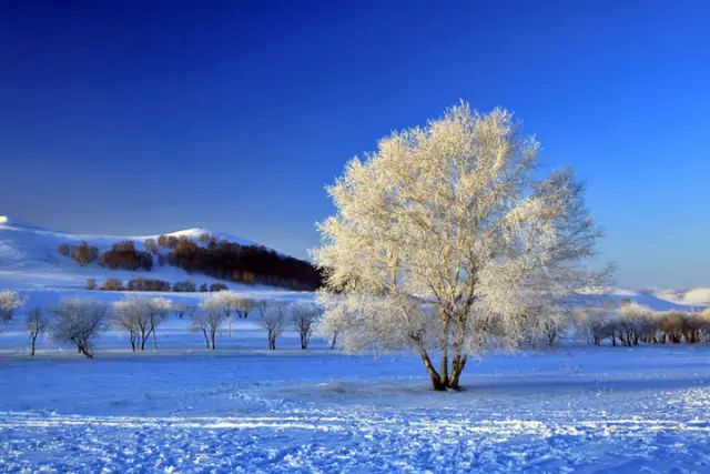 带你玩转北国7个最美雪景地