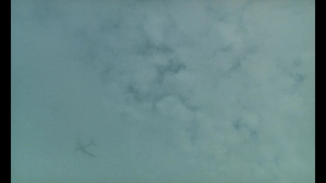 催泪治郁，思考人性的日本纪录片！豆瓣评分9.1-1