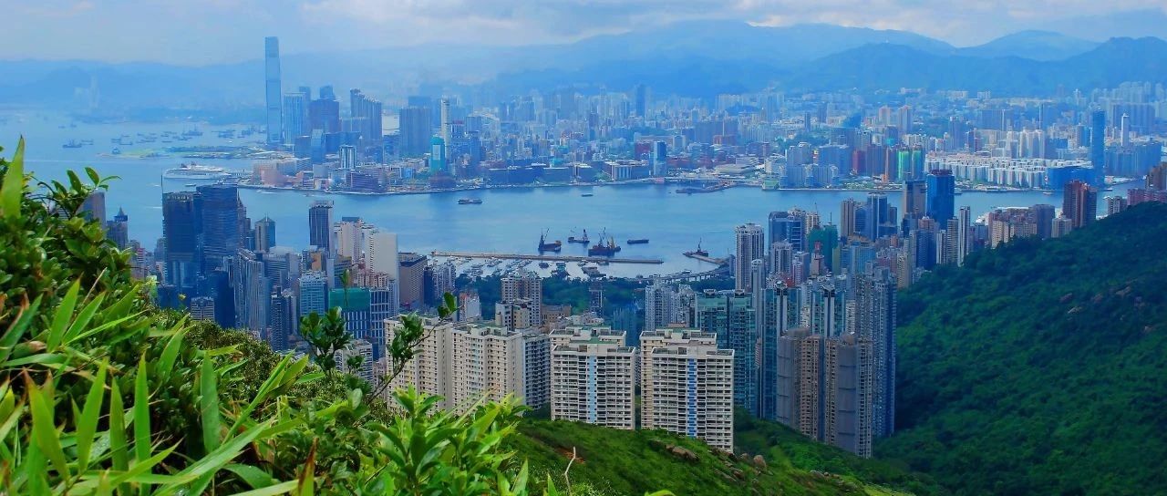 移民香港，专才、优才计划怎么选？