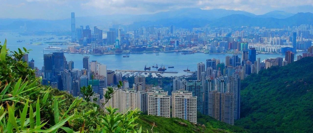 为什么去年移民香港的人数暴增？