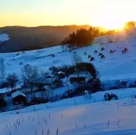 这个冬天,去东北的雪村邂逅最纯粹的美!