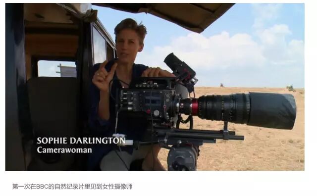 都说贝爷多牛X，在背后默默拍贝爷的人们更猛