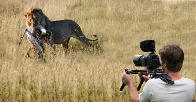 都说贝爷多牛X，在背后默默拍贝爷的人们更猛