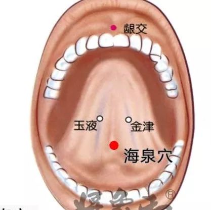 海泉穴