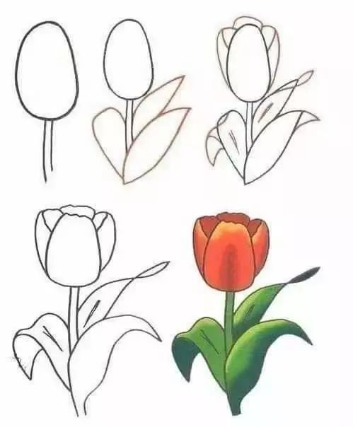 儿童简笔画大全教程,孩子学画画基础入门,动植物简单