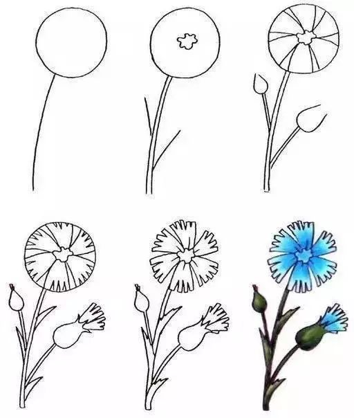 儿童简笔画大全教程,孩子学画画基础入门,动物简单画法的图解