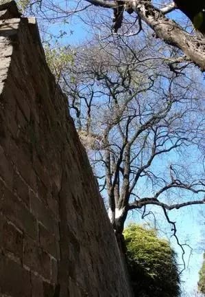 昆明地藏寺大理國經幢_云南昆明地藏寺經幢_昆明地藏寺經幢傳說
