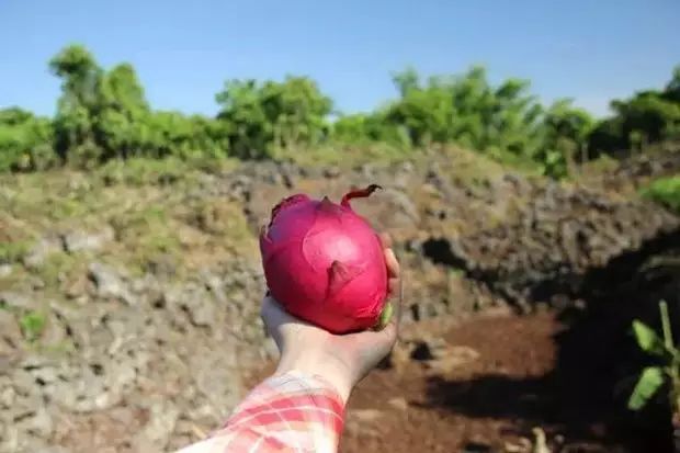 火山玻璃岩和玻璃的硬度哪个高_东北赵岩火山号_火山岩