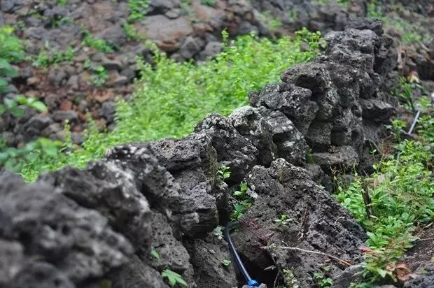 东北赵岩火山号_火山岩_火山玻璃岩和玻璃的硬度哪个高