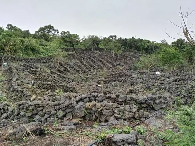 火山岩_火山玻璃岩和玻璃的硬度哪个高_东北赵岩火山号