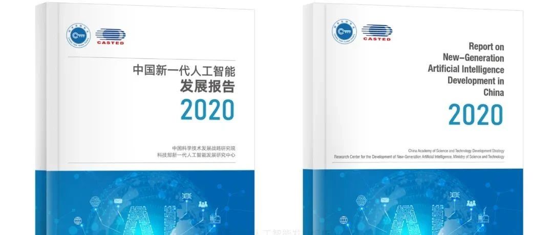 《中国新一代人工智能发展报告2020》主要观察