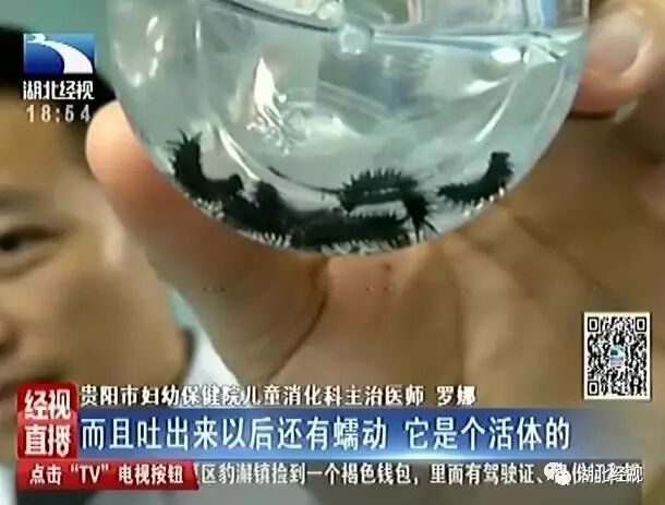 見孩子吐出蟲體，家長就立馬帶孩子到醫(yī)院進(jìn)行就診。