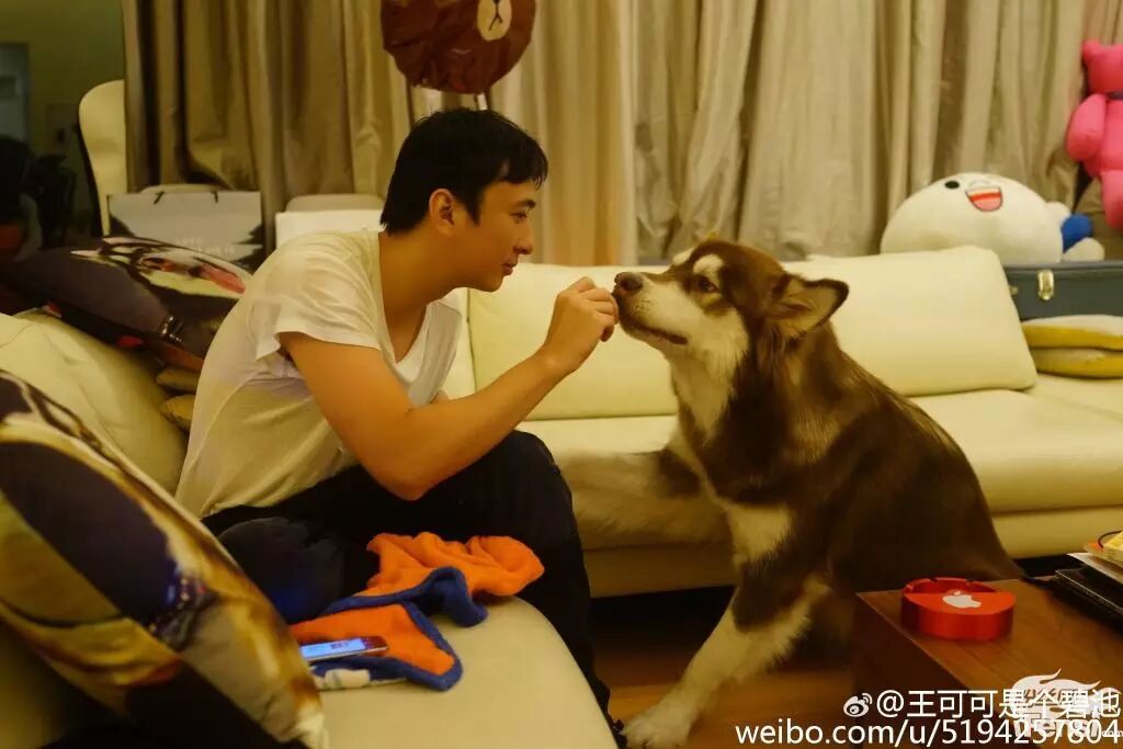 妞妞怀孕上热搜?还记得王思聪的王可可与韩寒家的小马达并列的雪橇三傻网红贵族吗?-怀孕期