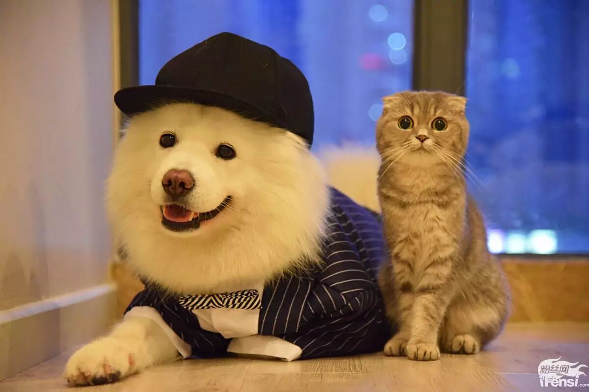 妞妞怀孕上热搜?还记得王思聪的王可可与韩寒家的小马达并列的雪橇三傻网红贵族吗?-怀孕期