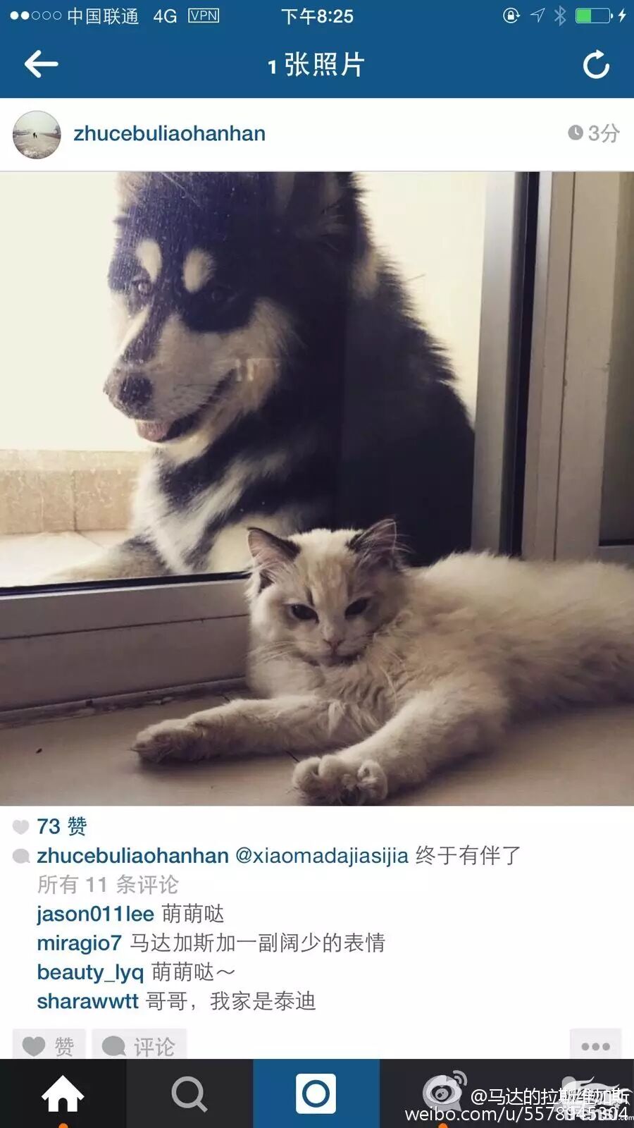 妞妞怀孕上热搜?还记得王思聪的王可可与韩寒家的小马达并列的雪橇三傻网红贵族吗?-怀孕期