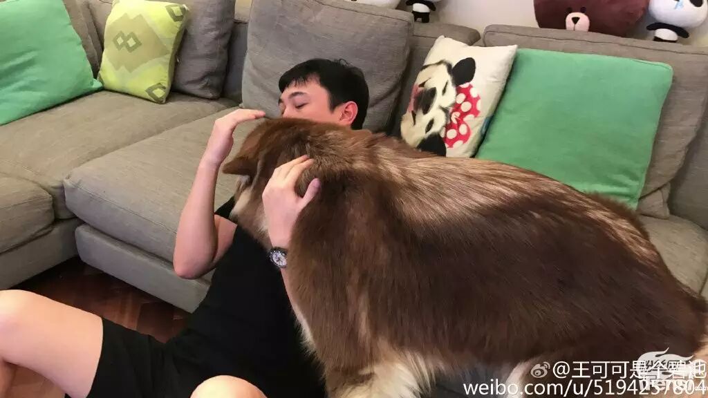 妞妞怀孕上热搜?还记得王思聪的王可可与韩寒家的小马达并列的雪橇三傻网红贵族吗?-怀孕期