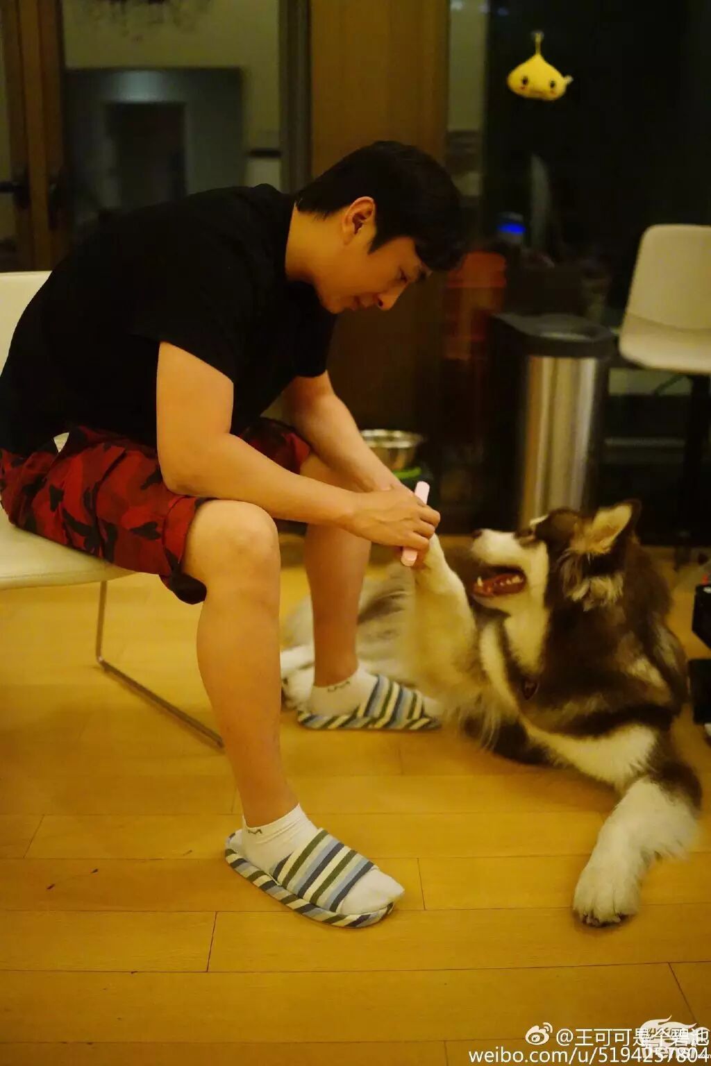 妞妞怀孕上热搜?还记得王思聪的王可可与韩寒家的小马达并列的雪橇三傻网红贵族吗?-怀孕期