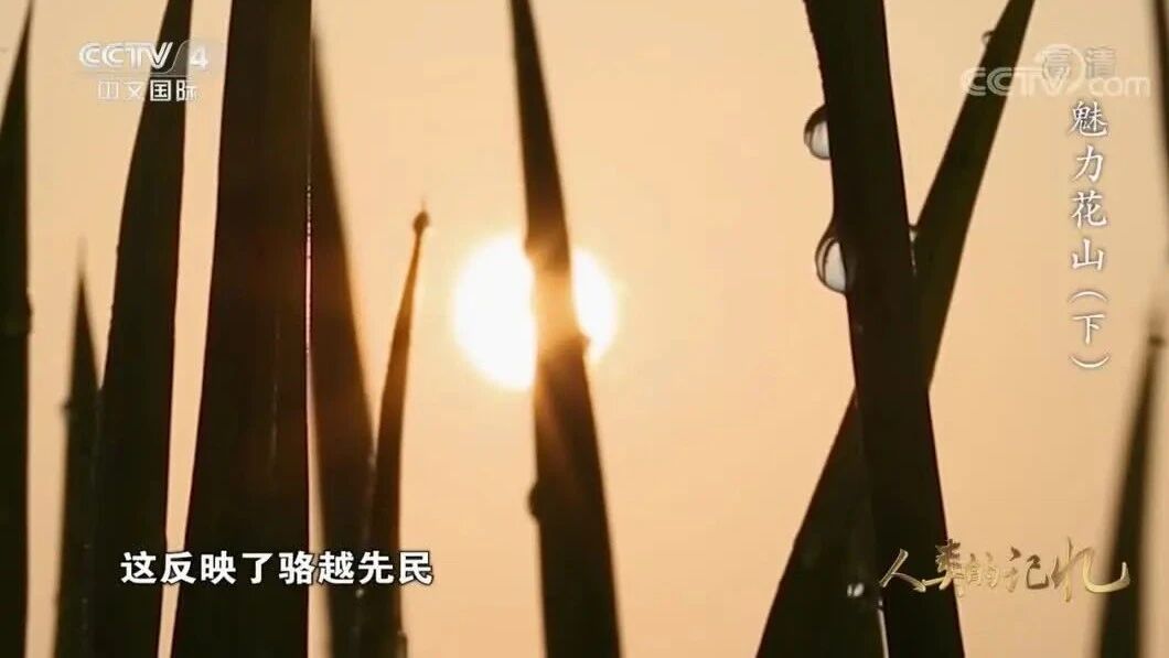 第四集：魅力花山（下）⭐纪录片《人类的记忆——中国的世界遗产》04 魅力花山（下）-1