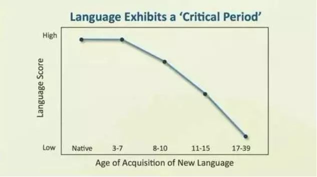 7岁之后,语言学习的效率开始下降;等到17岁后,语言的学习效率变得很