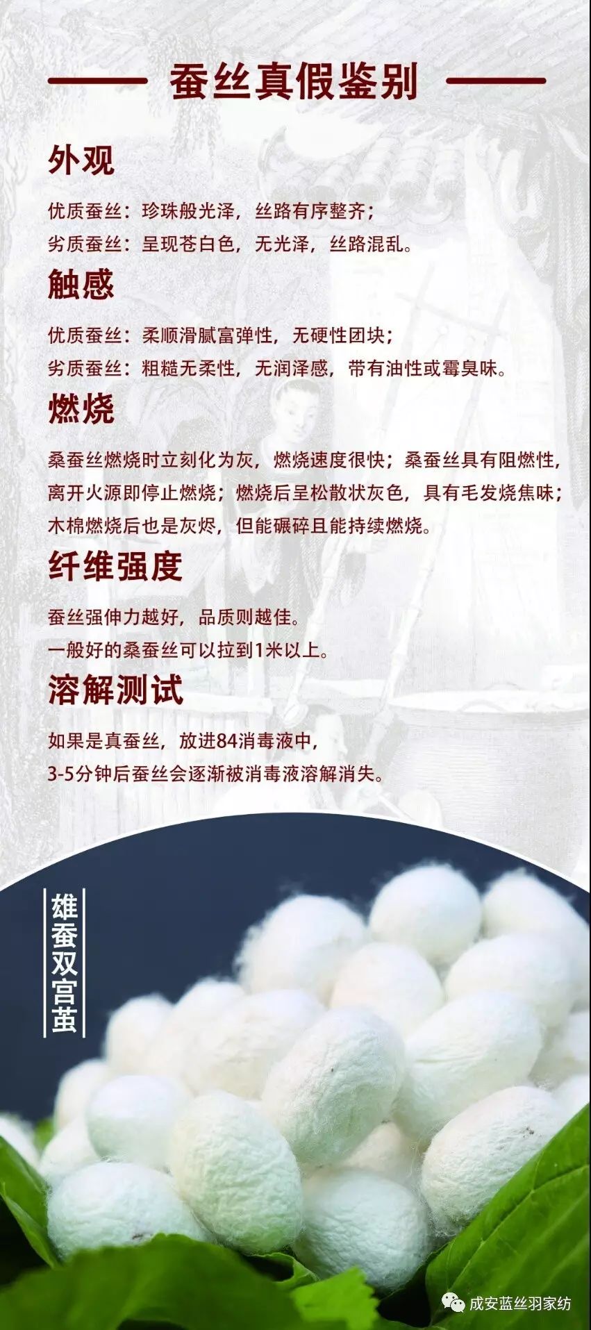 热烈祝贺老娘舅蚕丝被入驻蓝丝羽家纺成安店