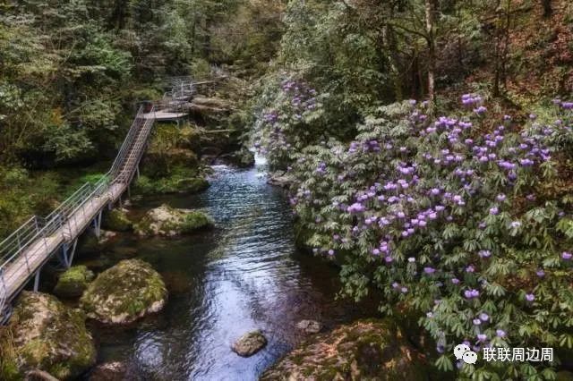 周五不加价【雅安龙苍沟景区 宽山隐庐温泉度假酒店