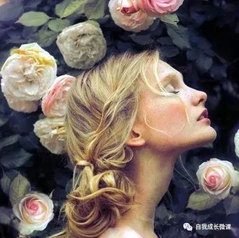【hellow 英语】There Were Roses