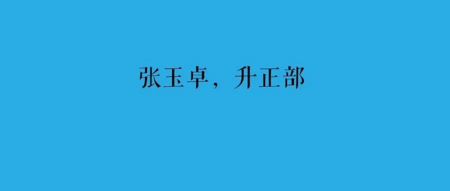 能源圈中石化董事长张玉卓调离