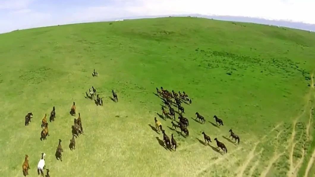 收录于合集⭐一曲《故乡情》，浓浓的乡愁，令人魂牵梦绕！