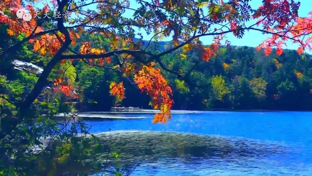 美丽的星期三，早安！